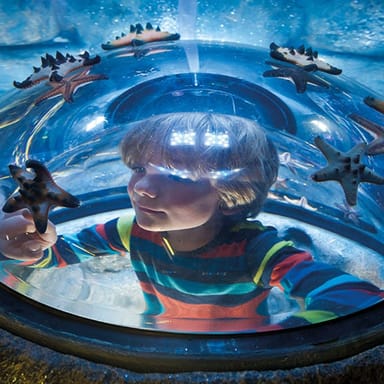 SEA LIFE New Jersey Aquarium Admission