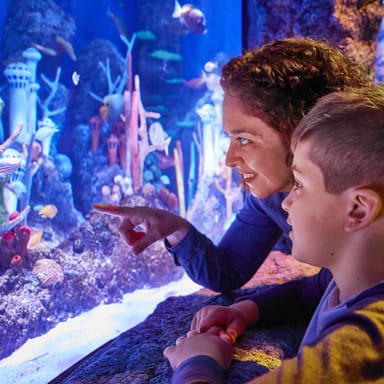 LEGOLAND® New Jersey Discovery Center and SEA LIFE Aquarium Visit