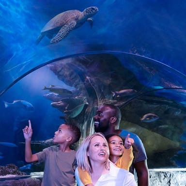 SEA LIFE San Antonio Aquarium Admission