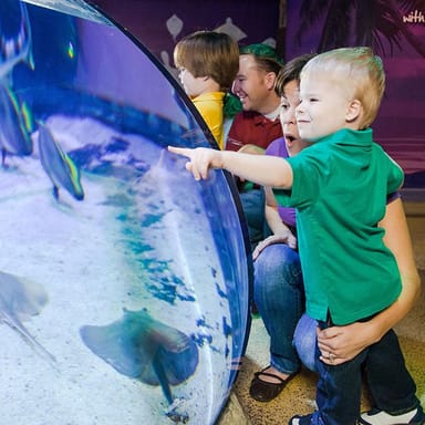 LEGOLAND® Discovery Center and SEA LIFE San Antonio Admission