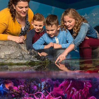 LEGOLAND® Discovery Center and SEA LIFE San Antonio Admission