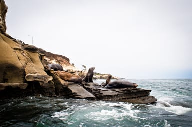 Seven Sea Caves Tandem Kayak Tour