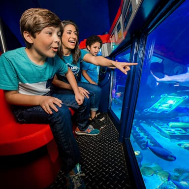 LEGOLAND® California Resort, SEA LIFE Aquarium, and Water Park 2-Day Admission