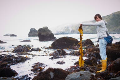 Immersive Wild Food and Foraging Experience with Cookbook