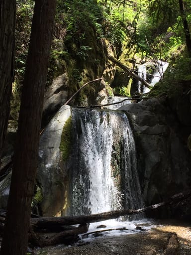 Private Big Sur Hiking Excursion with Lunch