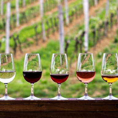 Verde Valley Winery Tour