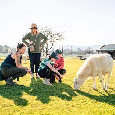 Private Tour of Charlie's Acres Farm Animal Sanctuary