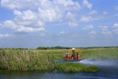 Private Everglades Airboat Tour - 60 minutes
