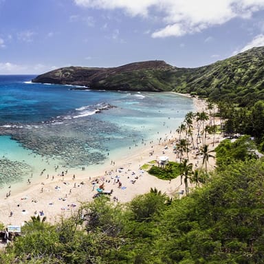 Full-Day Sights and Bites Tour in the North Shore