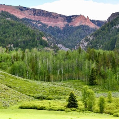 Half Day Scenic Horseback Riding
