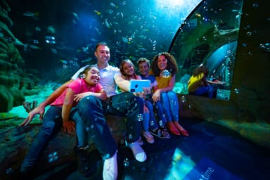LEGOLAND Florida Theme Park Plus 6 Iconic Attractions Pass