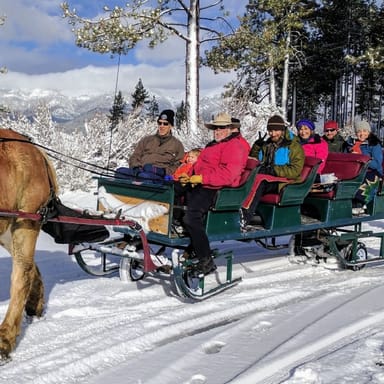 North Lake Tahoe Horse-Drawn Sleigh Ride