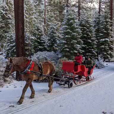 North Lake Tahoe Horse-Drawn Sleigh Ride