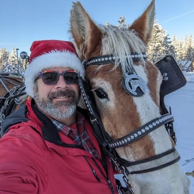 North Lake Tahoe Horse-Drawn Sleigh Ride