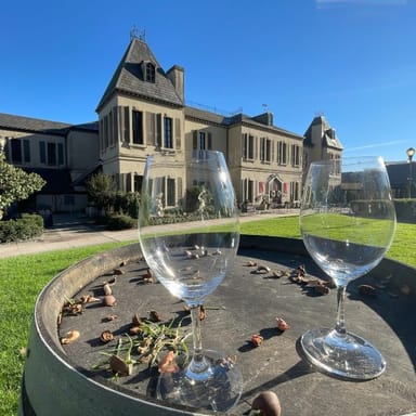 Snoqualmie Waterfalls and Woodinville Wineries Adventure