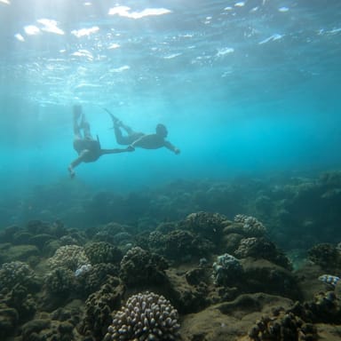 Napali Coast Morning Snorkel and All-Inclusive Sailing Adventure