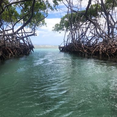 Caracoles Cay Snorkeling and Sunset Tour