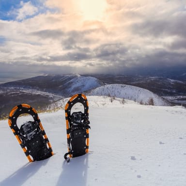 4-Hour Snowshoe Adventure