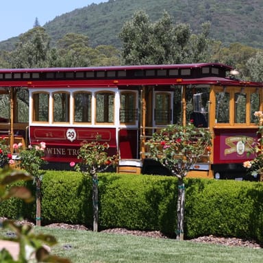 Sonoma Valley Wine Trolley Tour and Lunch for Two