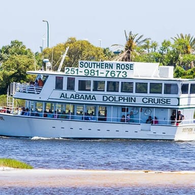 Gulf Coast Dolphin Cruise