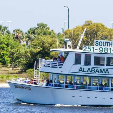 Gulf Coast Dolphin Cruise