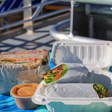 Dolphin Watching and Snorkeling Adventure