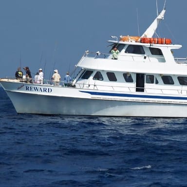 Reel in the Fun: Miami Sport Fishing Adventure 