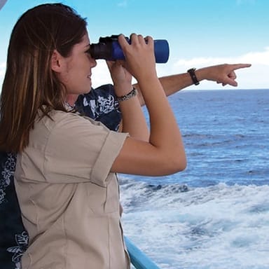 Waikiki Whale Watching Cruise