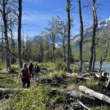 Private Chugach State Park Summer Hiking Adventure