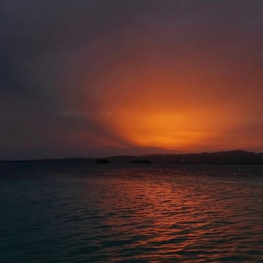 Bioluminescent Bay Cruise and Swim