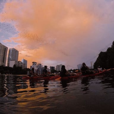 Guided Sunset Kayak and Bat Tour