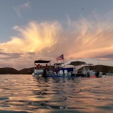 Private Snorkeling and Bioluminescent Bay Adventure