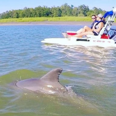 Sunset Creek Cat Guided Tour