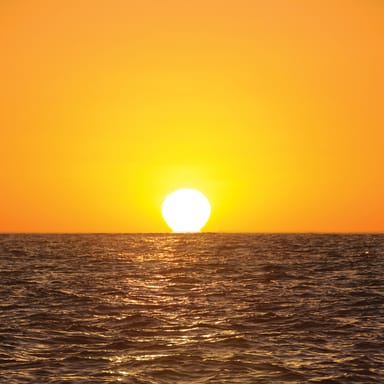 Sunset Dinner Cruise and Show