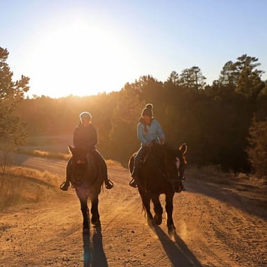 White Mountain Horseback Ride