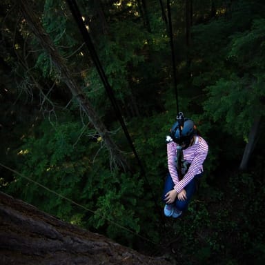 Sunset Tree Climbing Adventure in Silver Falls State Park