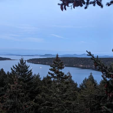Sunset Tree Climbing Adventure on Lopez Island