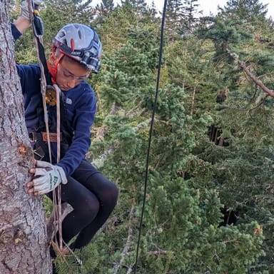 Sunset Tree Climbing Adventure on Lopez Island