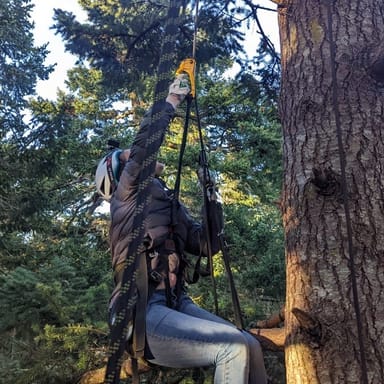 Sunset Tree Climbing Adventure on Lopez Island