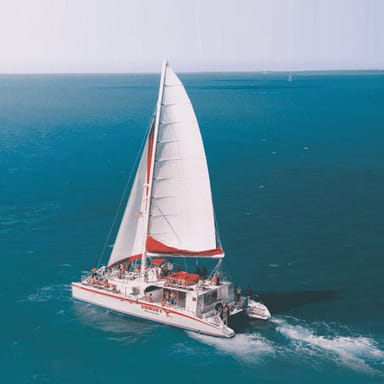 Afternoon Reef Snorkeling Tour