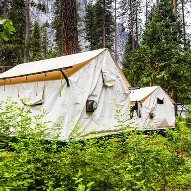 2-Day Yosemite Tour with Overnight Lodging in Curry Village Tent Cabins
