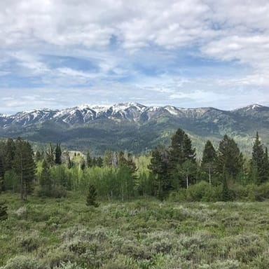 Teton Mountains Horseback Adventure