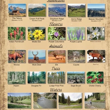 Teton Mountains Horseback Adventure