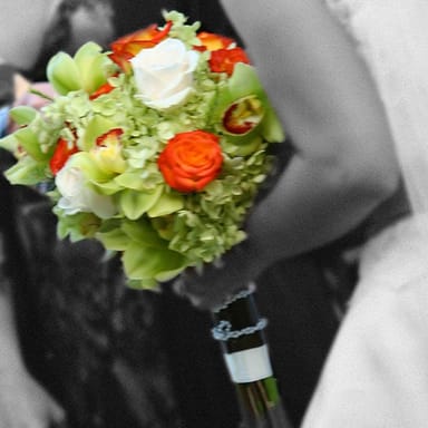 Six-Week Virtual Wedding Planning Workshop