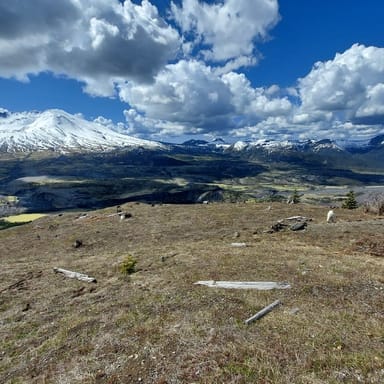 Mount St. Helens Hiking Tour