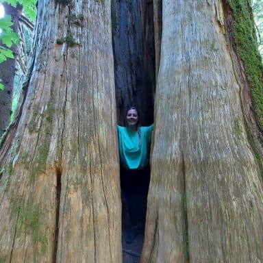 Mount St. Helens Hiking Tour