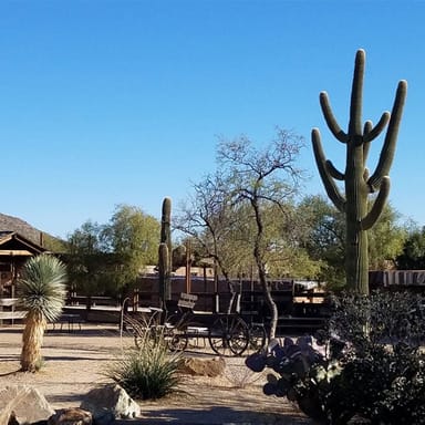 Tombstone and Bisbee Adventure with Saguaro National Park