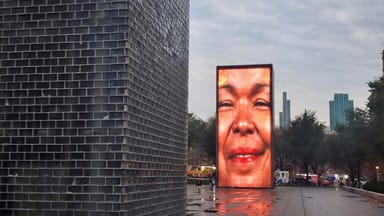 Iconic Public Art and Architecture Tour 