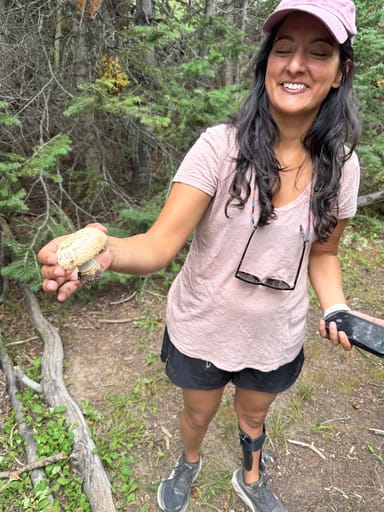 Rocky Mountain Foraging Hike for Two