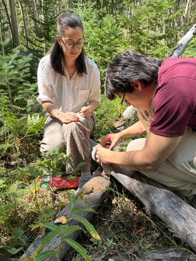 Rocky Mountain Foraging Hike for Two